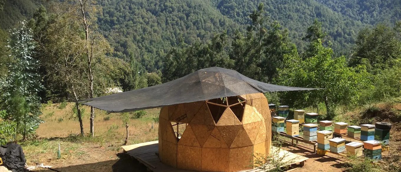 Domo geodésico de madera junto a las colmenas, en los cerros de Linares